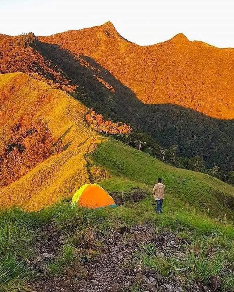  Wangedigala - campingrent.lk